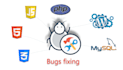 do codecanyon script installation and bug fixing