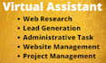 be your efficient virtual assistant