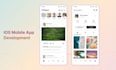 create a professional flutter and ios native application