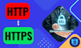 install SSL certificate and fix SSL mixed content wp website