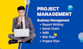 write ms project management report, risk business plan, wbs gantt chart, charter
