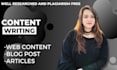 be your website content writer
