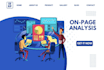 give you a complete SEO action plan DIY