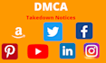 send report by dmca reddit tiktok instagram facebook youtube