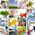 make you a custom made training plan