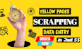 do data entry, scrape yellow pages,email scrap with accuracy
