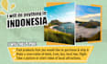 help and do anything for you related to indonesia