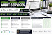 provide professional internal external and interim audit services