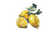 do authentic food illustration