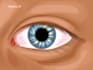 create detailed cartoon potrait