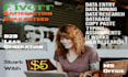 do efficient data entry, web research and excel work