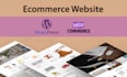 create a professional wordpress ecommerce website or woocommerce store