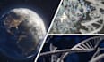 do 2d and 3d scientific illustrations, graphic abstract, scientific cover art