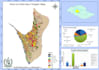 do interactive mapping, gis analysis, web mapping and maps