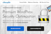 perform wordpress security optimization in your website