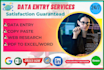 do professional data entry, virtual assistant and web research