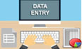 do various types of data entry work