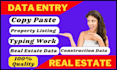 do data entry for real estate and organize input copy paste