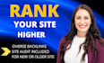 do a high quality SEO backlinks campaign