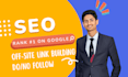 provide white hat onsite and offsite SEO services to boost organic traffic