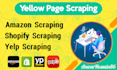 do fast yellow pages scraping, data mining any website scraping