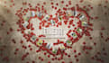 create a romantic video with rose petals