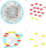protein protein interaction and hub gene analysis specialist