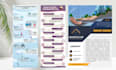 design infographics, related to ngos and nonprofit org