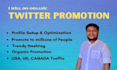 do organic twitter promotion and trend post
