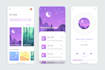 develop flutter mobile app for android and ios