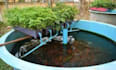 write top notching content about aquaponic, hydroponic, and aeroponic