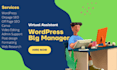 be virtual assistant wordpress blog manager
