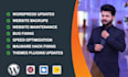 provide maintenance and support for your wordpress website