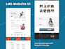 create a professional website ui ux design