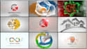 create a professional custom logo animation