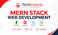 build or fix your mern stack web application