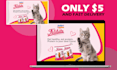 do shopify store banner or any web banner design in 5 hours