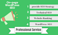 do deep and indepth on page SEO optimization to rank no 1 on google