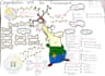 create colourful mind or concept map within one day