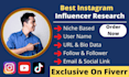 do instagram influencer marketing