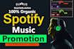 be organic spotify music promotion and spotify worldwide