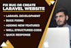 develop or fix bugs, errors, upgrade PHP laravel application