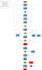create flow chart, network diagram and vsm in visio