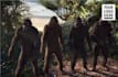 add logo and text in funny monkey dance video