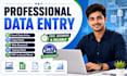 do excel data entry, copy paste and website data entry tasks