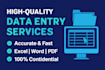 do excel data entry, copy paste and website data entry tasks