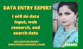 do data input, web research, and search data