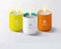 give a premium luxury candle logo with fast delivery