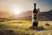 design a minimal and elegant wine label