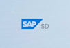give you brief sap sd training